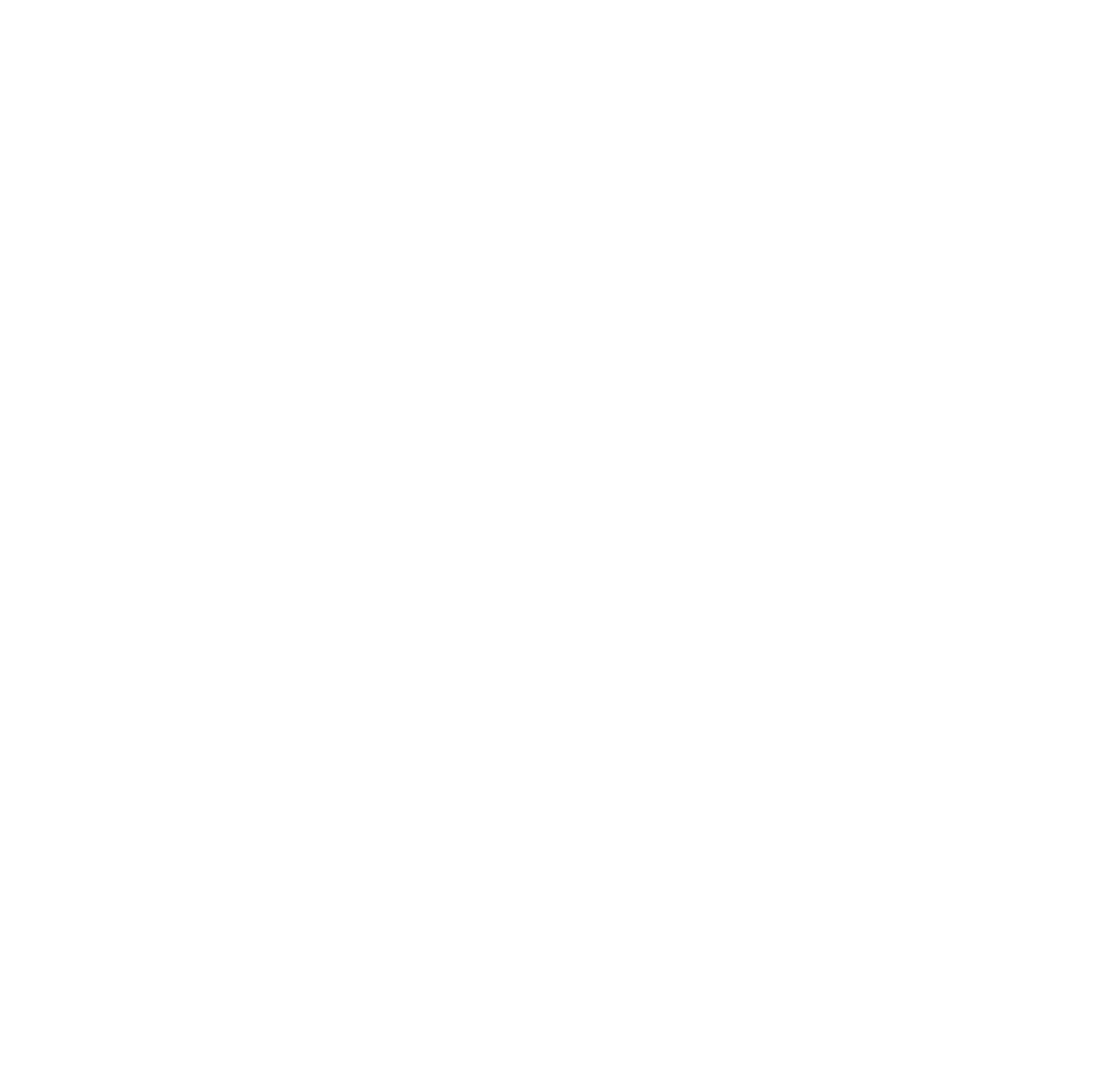 GOOGLE FLOW